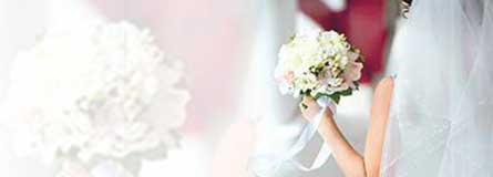 offer-image-445x160